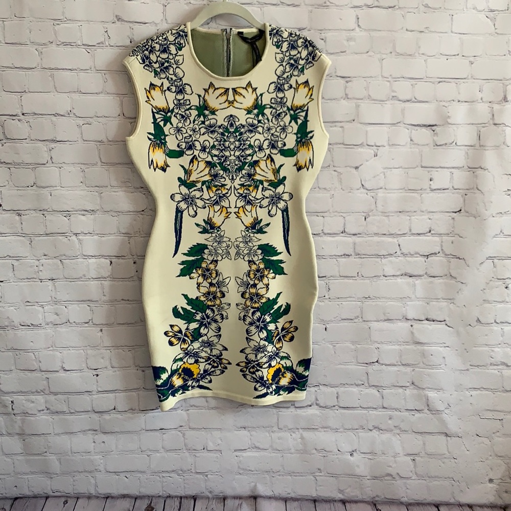 Brand new BCBG MAXAZRIA Bodycon dress